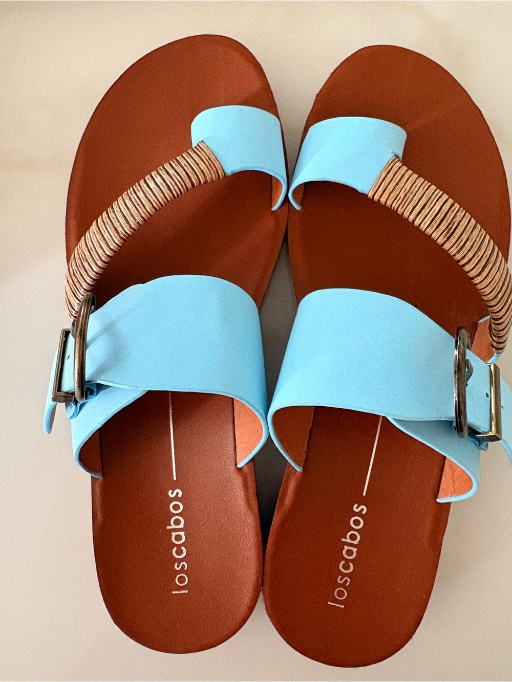 Celine Blue and Brown Slide Sandals with Buckle Accent